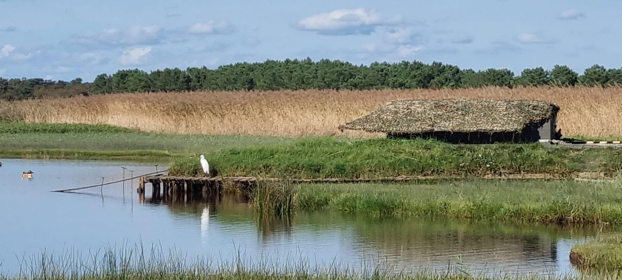Port des Tuiles et Île de Malprat
